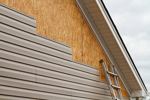 Professional Siding Inspection technician working in Land O'Lakes, FL